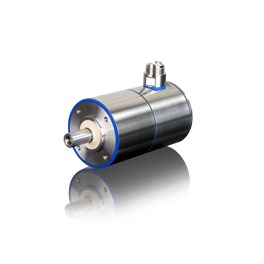 Edelstahlmotor HMS06 mit 60er Flanschgröße der Firma Heidrive. Stainless steel motor HMS06 with 60 mm flange size from Heidrive.